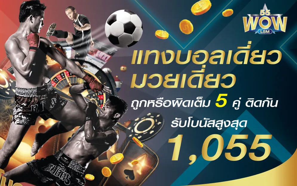 โปรโมชั่น By wow55